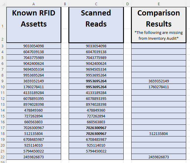 RFID Excel Template Example