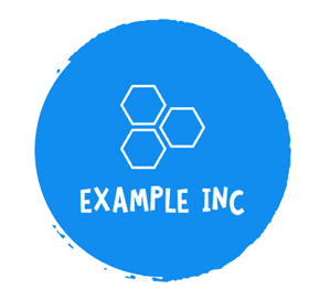  ExampleInc